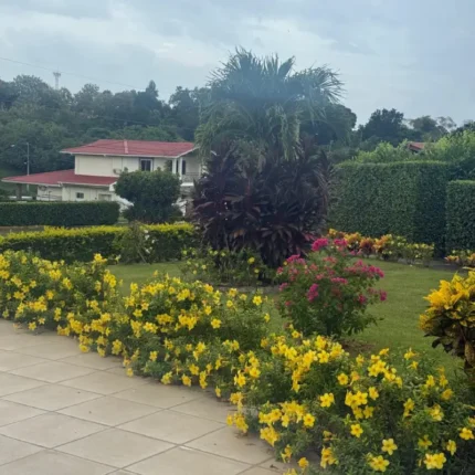 Terreno en El Valle Village - San Carlos