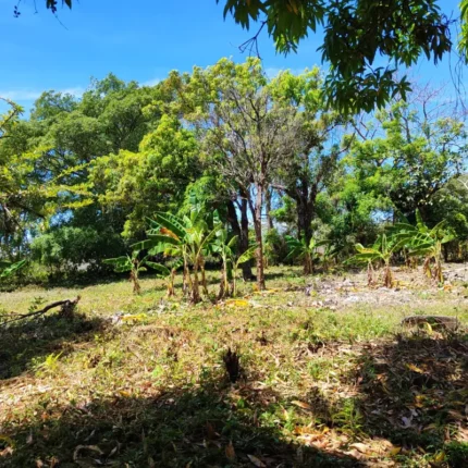 terreno de 4 mil metros
